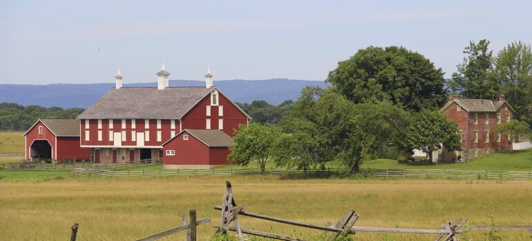 Henry Law Farm Completes Catalog of 10,000 Historic Items